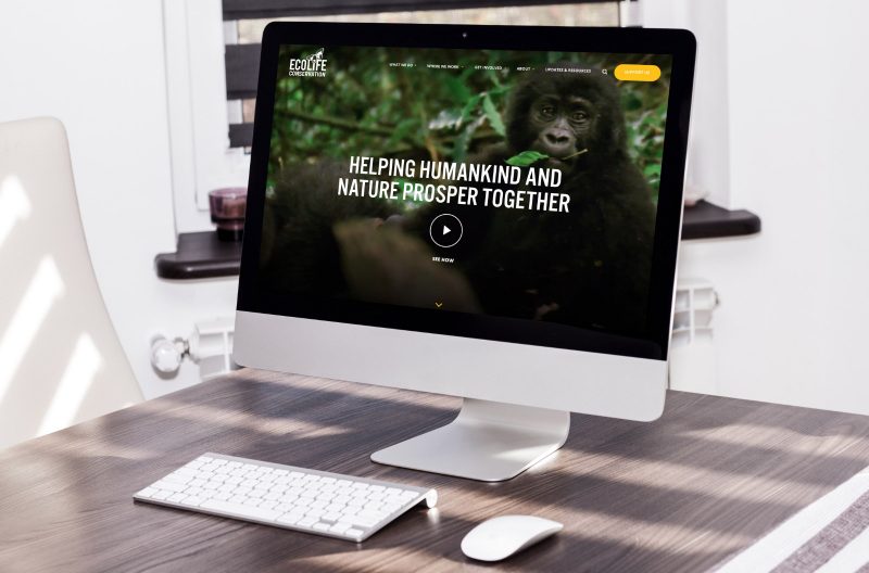 Slider Image 4
