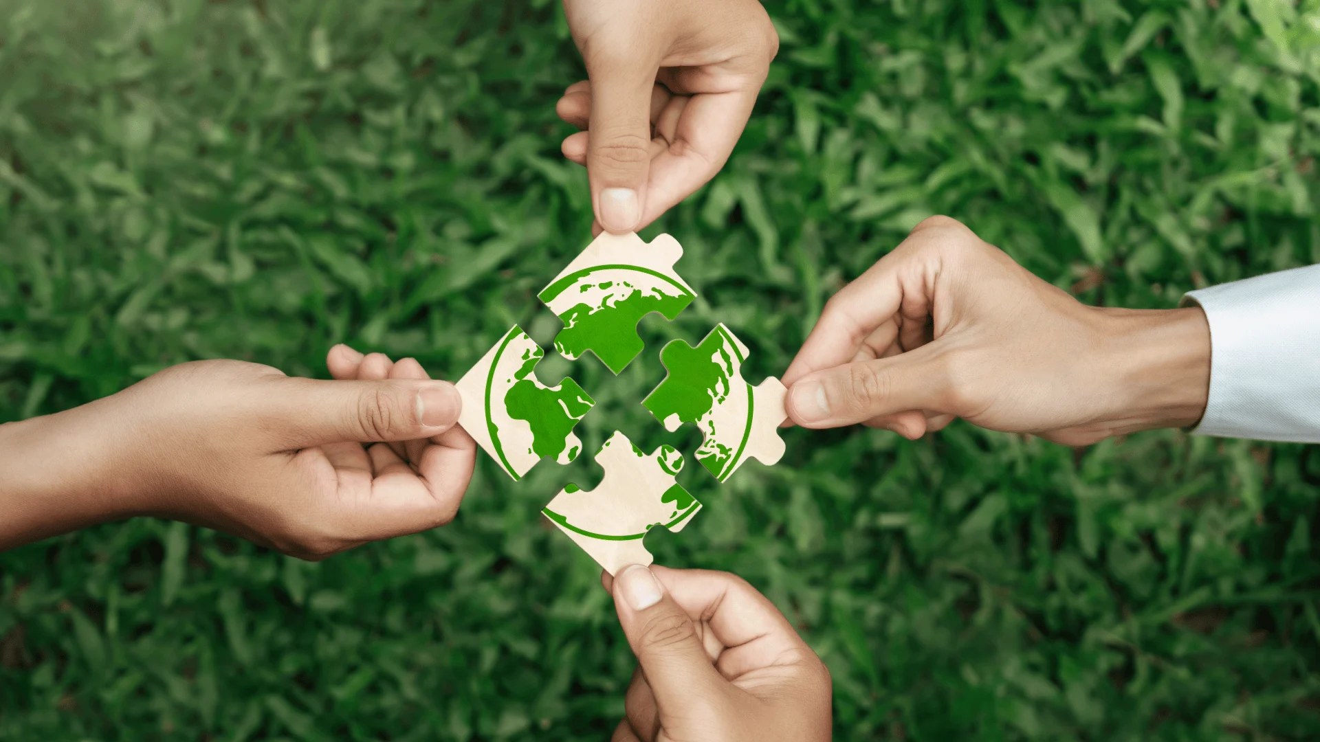 Sustainability & Eco-Friendly Products
